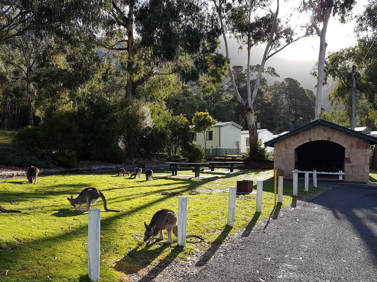 Breeze Holiday Parks - Halls Gap Buitenkant foto